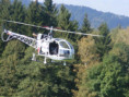/album/lama-sa315-250cm-vlastni-vyroba-motor-benzin-zenoah/033-jpg/